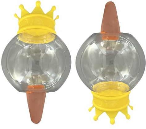 Bvizyelck Globi di irrigazione, globi di irrigazione per piante da interno, irrigazione automatica a goccia palle abbeveratoio, forniture da giardinaggio per fioriere
