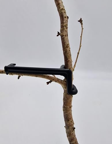 Astklammern groß Astspreizer für Obstbäume & Spaliergehölze Saftwaage 14 cm 15 Stück