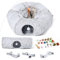 Odoland Katzentunnel große Katzen, Faltbar Katzen Tunnel mit Spielball Katzebett, Multifunktionales Rascheltunnel Katzenhöhle Interaktives Spielzeug für Indoor kätzchen