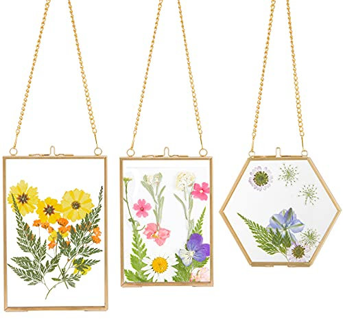 3-pack pressade blommor glasramar – gyllene hängande glasbildramar med kedja flytande gör-det-själv-konstverk visningsramar i 3 storlekar för torkade växter prover barnkonst fotovisning galleri