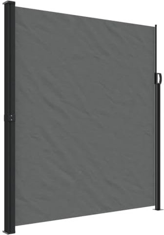 vidaXL Toldo Lateral retráctil Gris Antracita 220x300 cm