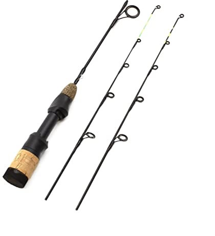 birene Angelrute 58cm Winter EIS Angelruten 2 Tipps Rotierenden Stange Carbon Faser EIS Pole Ultra-licht Karpfen Angelrute tragbare Angelrute