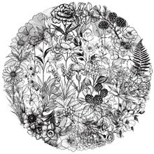 50PCS Transparent Black and White Plant Stickers for Water Bottle,Car,Bike, Skateboard,Scrapbook,Laptop,Luggage,Cute Flower Waterproof Vinyl Decal,Teens Adult Sticker,Cool Aesthetic Graffiti Sticker