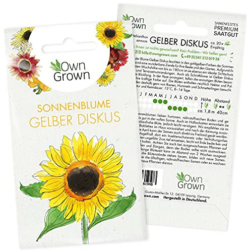 Sonnenblumen Saatgut Gelber Diskus (Helianthus annuus): Premium Sonnenblumen Samen, Sonnenblume Saat zur Anzucht von ca. 20 Sonnenblumen Pflanzen – Insektenfreundliche Blumensamen von OwnGrown