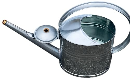 Regadera de zinc, 10 L, de colores, para flores, de metal, color galvanizado