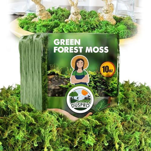 [Upgraded] DUSPRO Green Moss for Crafts, Real Forest Moss Potted Plants, Decorative Mosses for Table Centerpieces Wedding, Easter Day Decoration, Indoor Planters, DIY Project (10 oz)