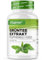 Extracto de Té Verde 300 Comprimidos dosis alta - 2000mg Extracto, 300mg EGCG & 1100mg Polifenoles por dosis diaria - Vegano