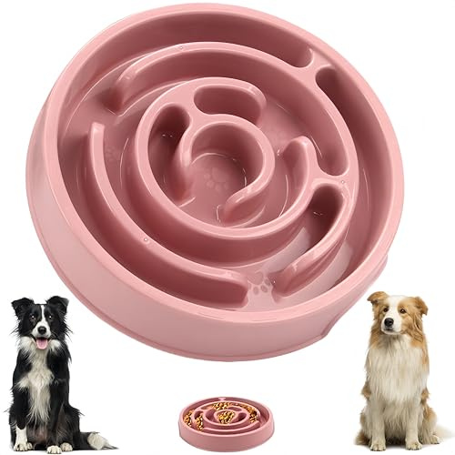 New Maze Design Slow Feeder Bowl for Dogs & Puppies - Bloat Stop Food Bowl
