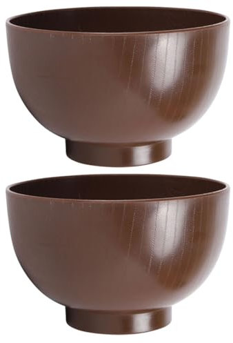 SOLUSTRE 2 pezzi Ciotole Giapponesi Piccole Scodelle per Zuppa e Ramen Design e Riutilizzabile per Cibo Famiglia e Amici