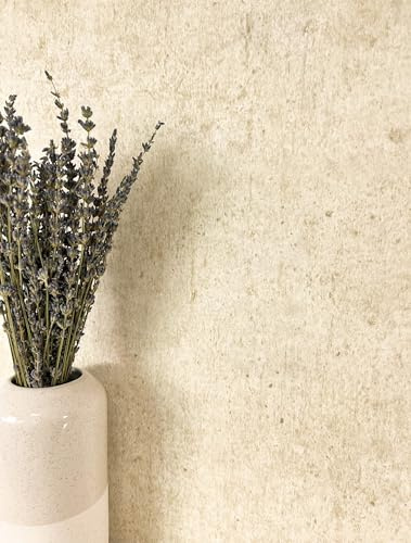 Newroom Dunya Vliestapete Beige Beton Betonoptik Loft Industrial Tapete | warme Sandtöne changierend matt, feine Betonstruktur Sprenkelung, ansatzfrei, Wandtapete Mustertapete, Wohnzimmer Flur