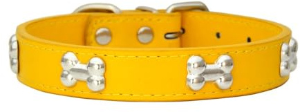 Katzenhalsband mit Metallschnalle PU Leder Haustierhalsband Verstellbares Hundehalsband Haustierzubehör Haustierhalsbänder für Haustiere Katzen Kitten Kleine Mittelgroße Hunde,Gold,XL