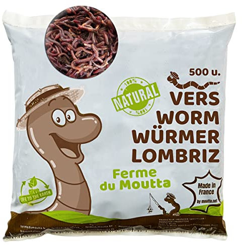 Lombrichi da 250g (circa 500 pz.) | Vermi vivi da terra Eisenia, crea un compost con i tuoi rifiuti organici - Per vermicompostaggio/composter/giardino