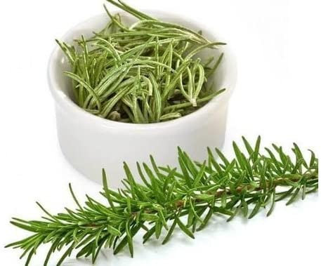 Semillas de Romero DECOALIVE para Plantas Hierbas Aromáticas en Casa, Terraza y Jardín