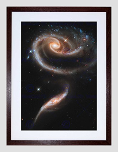 Hubble Space Telescope A Rose Made of Galaxies Black Framed Art Print B12X1880