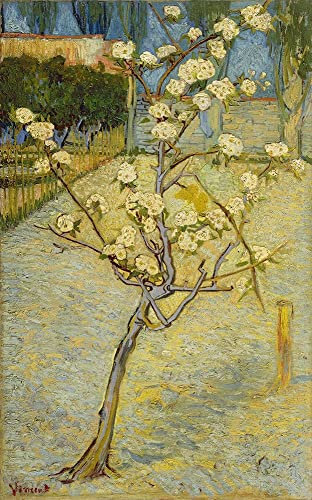 Bild auf gerollter Leinwand, kleiner Birnenbaum in Blüte VanGogh Vincent – Natur vertikaler Kunstdruck niederländischer Künstler Post Impressionist Eindruck Leinwand, fein ar 39_X_24_in