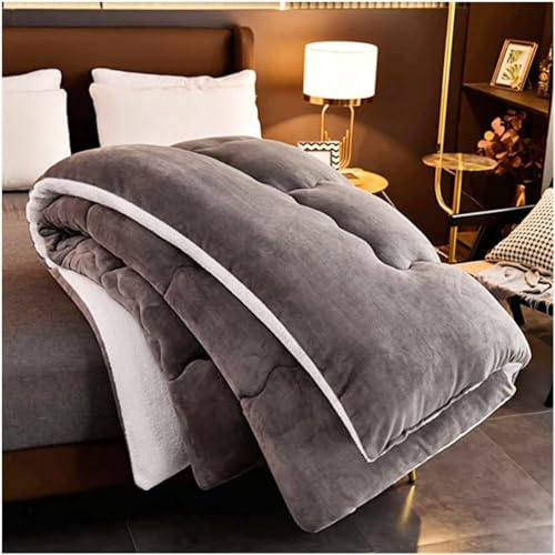 ZTGL Couette en Super Doux Velours d'agneau Couette Chaude en Hiver, Double Super Épaisseur Couverture, Moelleux et Respirant Édredon, Tissu Cachemire d'agneau Chaud Rapide,Dark Gray,110x150cm(1kg)