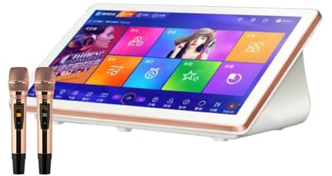 Reproductor de karaoke KTV, máquina de karaoke con pantalla táctil capacitiva LED de 18,5 pulgadas y micrófono inalámbrico profesional, descarga de canciones mediante actualización en la nube, color