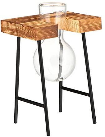 Abaodam Hydroponische Glasvase Mit Holzständer Pflanzenterrarium Für Blumenarrangements Oder Hydrokulturpflanzen Geeignet Für Schreibtisch Oder Zuhause