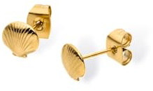 Purelei Muschel Ohrstecker für Damen, Ohrschmuck aus Edelstahl in Muschelform, kleine maritime Ohrringe für Sommer, Strand, Urlaub und Alltag, klassischer Damen Schmuck (Gold)