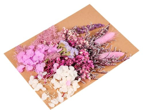 FUNOMOCYA 1tasche Beutel Getrocknete Blumen Für DIY-kunsthandwerk Epoxidharz-basteln Kerzenherstellung Trockenblumen Für Nägel Und Harz Bastelmaterial Für Kleine Projekte