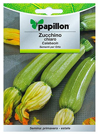SEMI SEMENTI ZUCCHINO CHIARO 5 GR