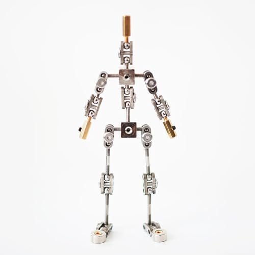 YSFHYAN DIY Studio Stop Motion Armature Kits,Metallpuppenfigur zur Charakterdesignerstellung,Mehrere Stile,Einfach zu Montieren, Geeignet füR Produktfotografie und Animationsstudios(Size:14CM)