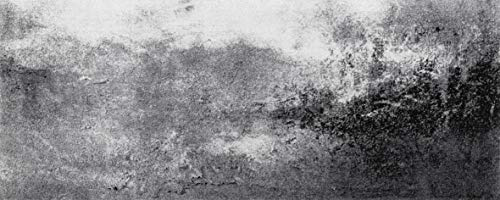 wash+dry Fußmatte, Aura 80x200 cm, innen und außen, waschbar