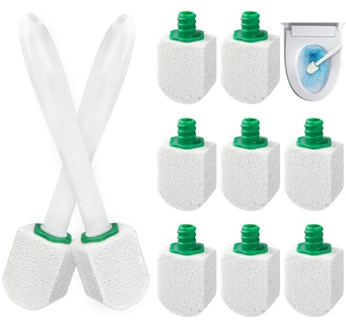 ANOMM 10 Pezzi Pietra Pomice Detergente WC, Pulizia Pietra Detergente Con 2 Manico, Pietra Per La Pulizia Della Toilette, Pumice Stone Per La Pulizia Della Toilette, Lavandino, Piscine, Cucine, Bagno