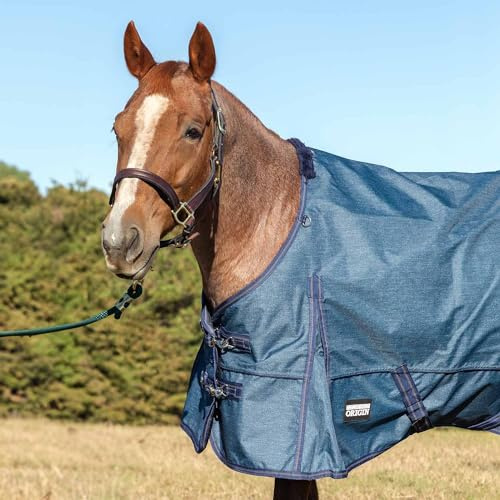 Jeffers Pferdedecke aus Pappelkopf, 600 Denier, 0 g, Polyfill, 213,4 cm, wasserdicht, winddicht, leicht, verstellbare Brustgurte, Schweiflasche, Stalldecke, Blau
