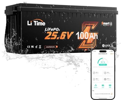 LiTime 24V 100Ah LiFePO4 Batterie mit Bluetooth für Wohnmobil und Solar | 100A BMS, 4000+ Tiefzyklen, Untertemperaturschutz, 2560Wh Lithium Batterie für Off-Grid, Heimspeicher