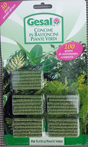 Gesal concime in bastoncini fertilizzante rinvigorente 2 pz per giardino piante