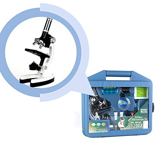 ULAB Kids Beginner 1200X Microscope STEM Kit with Metal Body Microscope, Plastic Prepared Slides and other Laboratory Accessories, Packed in LDPE Carrying Box, UHP1001