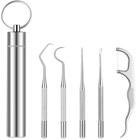 Baoton 5Pcs Toothpicks Rough Handle Tooth Picker Stainless Steel Dental Floss Picks Pocket Set Reusable Flossers for Adults Portable Teeth Cleaning Travel Oral Care Plaque Remover, Silvery