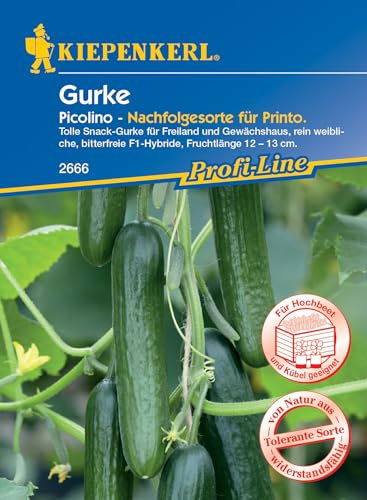 Kiepenkerl Profi-Line Snackgurkensamen Picolino F1 - Widerstandsfähige F1-Hybride Gurkensamen 2666, Ideal für Snack-Gemüse