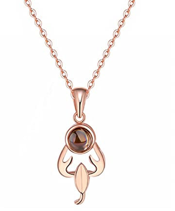 LIRU Halskette Damen Silber,S925 Silber Halskette Skorpion Edelstein Anhänger Halskette Sternzeichen Roségold Zirkon Halskette Geburtsstein Halskette Geschenkschmuck Für Mama Jungen Mädchen