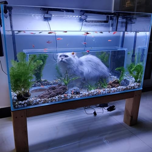 MegLob Luxus-Katzenspielzeug-Aquarium, Bodenstehende Katzenunterhaltungsfischtank, Rechteckige 2 in 1 Aquarium Für Fisch & Katze, Mit Maser Holzbasis, Haustier-Hausausstattung