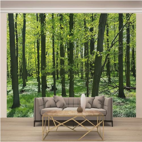 Fotomurale Carta da Parati Panoramica TNT Murale Decorazione da Muro Poster Gigante Design Carta per Pareti L 200 Larghezza x 140cm Altezza Paesaggio verde Bosco