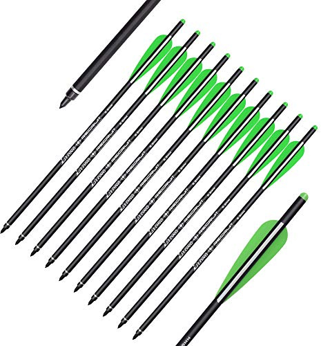 ELONG OUTDOOR 12 pezzi Bulloni per balestra in carbonio 20 Frecce per tiro con l'arco da caccia con punte per frecce di ricambio da 100 grani Punta Moon Nock