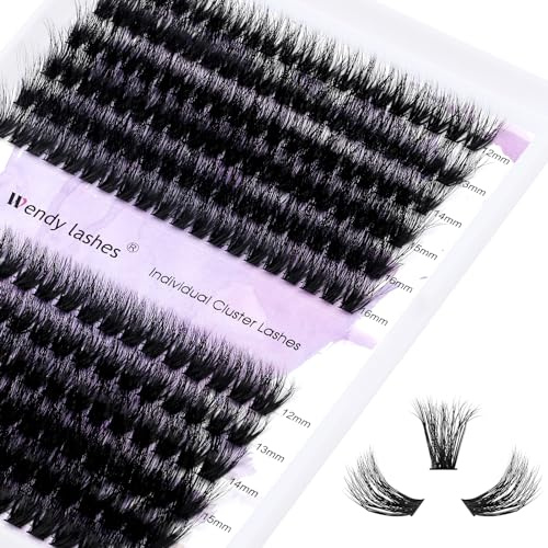 Faux Cils Individuels 240PCS Cluster Cils Volume Russe 0.07mm D Curl Effet 3D Mix12-16mm 60D+80D Cluster Extensions de Cils Individuels Bouquet Cluster Eye Lashes(60D+80D-0.07-3D-MIX12-16)
