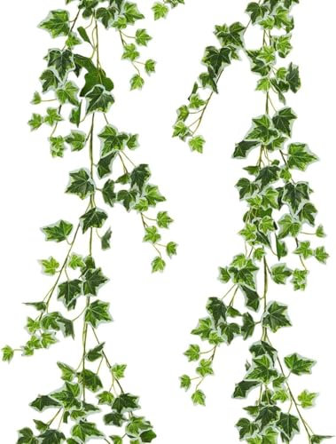 PacuM Ghirlanda artificiale di edera, verde, 71 pollici, Inodore, artificiale, Edera, lascia ghirlande artificiali, false edera, piante sospese (bianco verde)