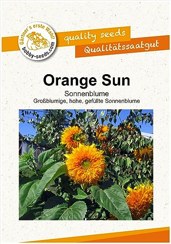 Blumensamen Orange Sun Sonnenblume Portion