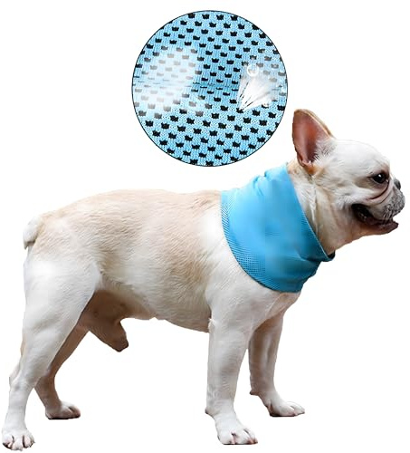 DELIFUR Dog Instant Cooling Bandana Pet Breathable Scarf Cats Ice Collar for Summer (Blue, M)
