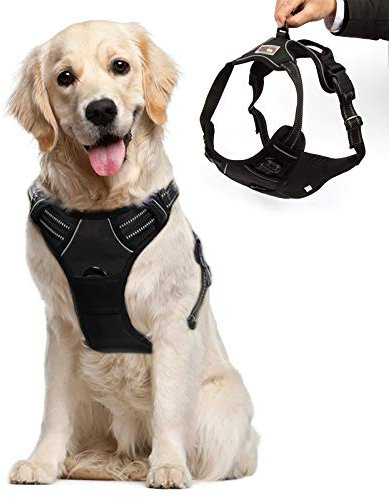 Funkeen No Pull Hundegeschirr