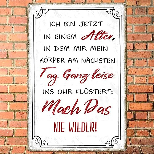 Sugeru Art Metallschild Sprüche Schilder Retro | poster deko büro terrassen vintage flur aesthetic room | schilder mit sprüchen | blechschilder sprüche | Wandschild Bade Wand Dekoration |20 x 30cm-A