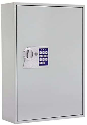 Profirst Elea 200 Armoire à clés avec Serrure électronique Gris Clair LxH 38x55cm matériel de Fixation 200 Crochets 200 Porte-clés gratuits