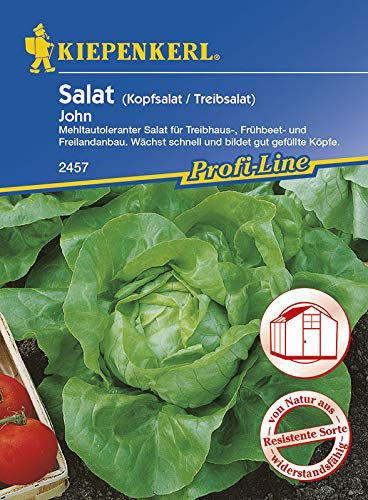 Salatsamen - Kopfsalat John (Treib) von Kiepenkerl