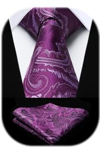 HISDERN Krawatten für Herren 160 CM Extra Lange Krawatte mit Einstecktuch Set Hochzeit Business Seidenkrawatte Elegante Schlips Herren