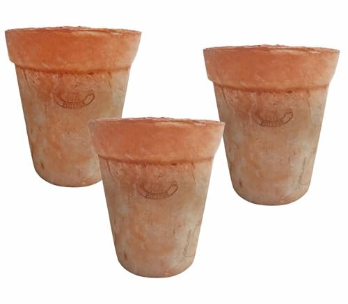 zeitzone Blumentopf Set Terracotta Aged 3 Stück Pflanztopf Mediterran Ø 12,5 cm