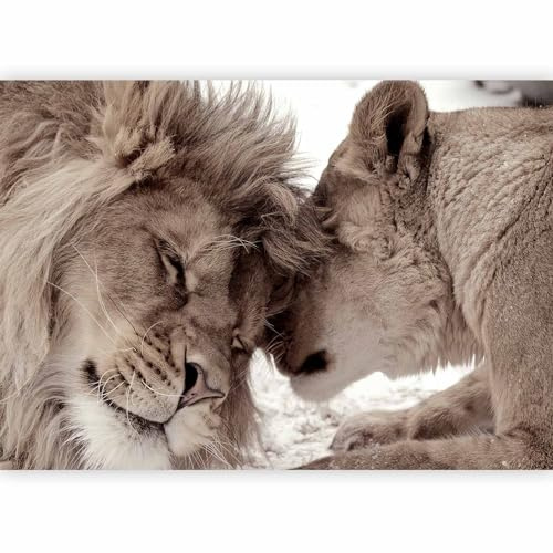 murando Fotomurales Leon 200x140 cm XXL Papel pintado tejido no tejido Decoración de Pared decorativos Murales moderna Diseno Fotográfico Animales g-B-0034-a-b