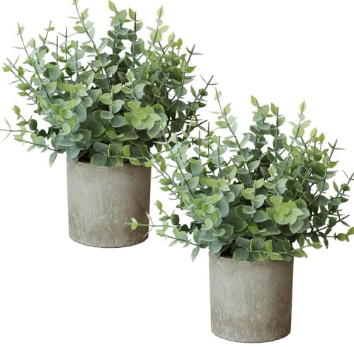 Roqueen 2 Pezzi Piccolo Piante Artificiali Eucalipto con Vaso, Plastica Mini Pianta Finta per Scaffale Scrivania Casa Ufficio Bagno Agriturismo Camera Decorazione (Verde)